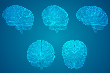 宇宙的未来结局是怎样的？