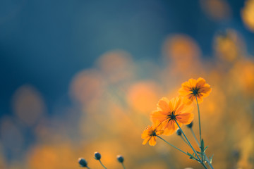 二年级科技创新小制作