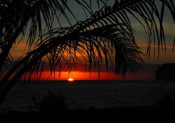 水果脑筋急转弯