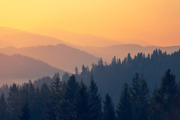 大班体育活动教学反思