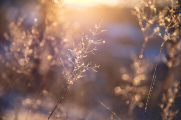 二年级科技创新小制作