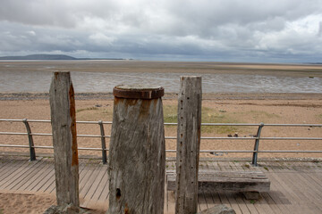 桂花造句子二年级简单短句