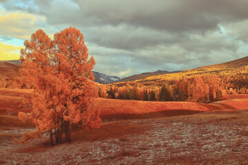 书的英语book的读音是什么？