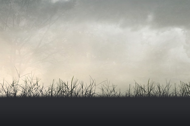 宇宙的未来结局是怎样的？