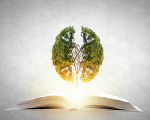 水果脑筋急转弯