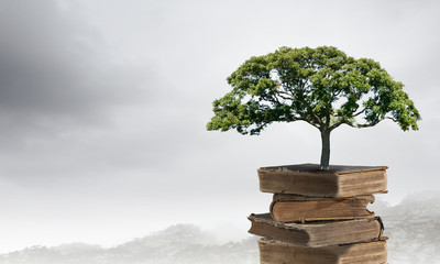 异步电动机的工作特性