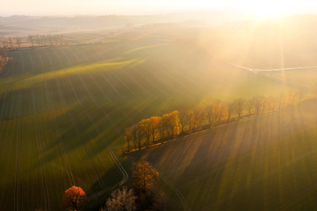 大班体育活动教学反思